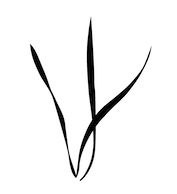 designing with plants